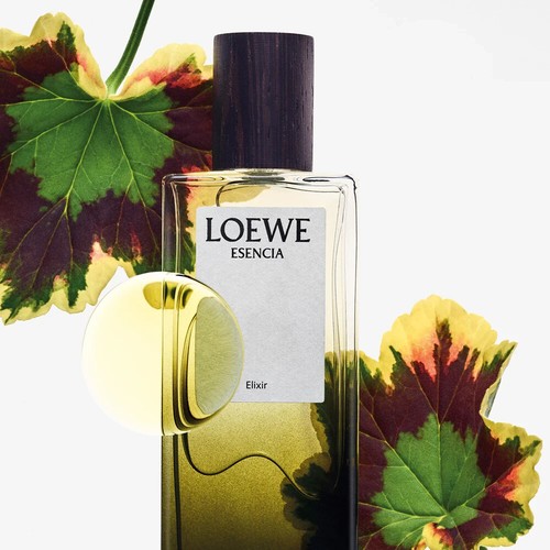 Loewe Esencia Elixir 50 / 100 ml Eau de Parfum - Picture 4 of 9