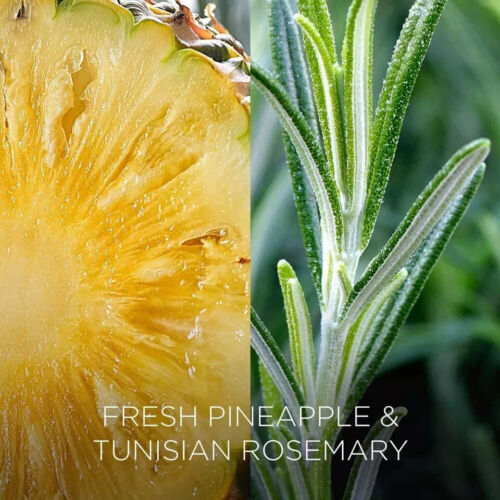 Luftdocht Botanica natürliche Wachskerze Ananas & tunesischer Rosmarin 205g - Bild 4 von 5