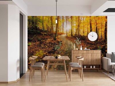 3D Fall Sunshine Forest Self-adhesive Removable Wallpaper Murals Wall 13