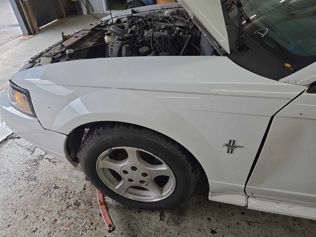 Las Mejores Ofertas En Genuine Oem Gudafangos Pa Ford Mustang | EBay