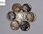 (7) 1913-1919 Buffalo Nickel Set/Lot ~ VG/Fine ~  (Date Run) ~ ZBL95