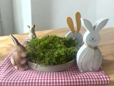 Naturmoos Dekomoos Basteln Dekorieren frisch Weihnachten Bayer Wald 200 - 1000 g