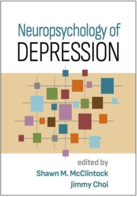 Neuropsychology of Depression by Shawn M. McClintock HARDBACK 9781462549276
