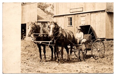 RPPC Doctor in Carriage With Team of Beautiful Horses
