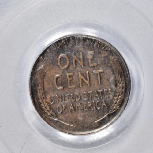 ¡Centavo Lincoln 1955 doble matriz 1955/1955 DDO! DETALLES COMO NUEVOS ~ PCGS GENUINO! Foto 4 de 4