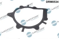 Dr. Motor Automotive DRM0534 Dichtung, Wasserpumpe FüR CitroëN, Ford, Opel,