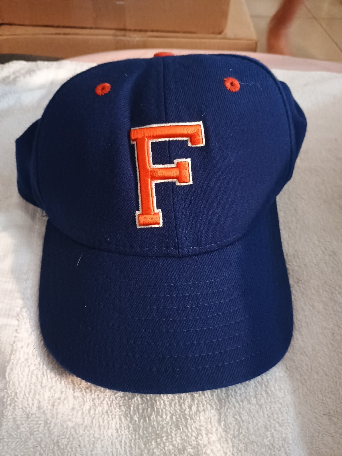 Florida Gators Hat