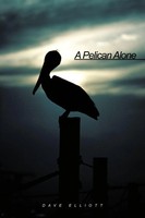 Dave Elliott | A Pelican Alone | Taschenbuch | Englisch (2011) | AuthorHouse