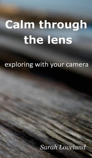 Sarah Loveland | Calm Through The Lens | Buch | Englisch (2019) | Gebunden-image