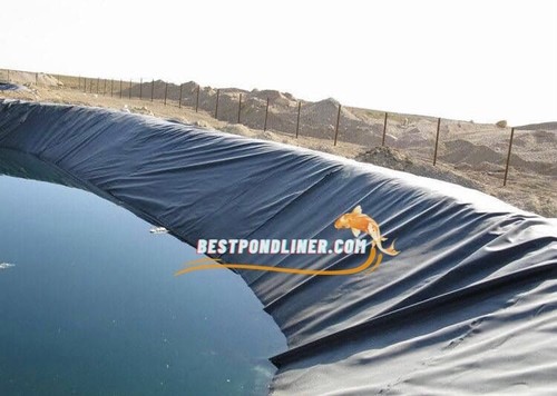 Koi Pond Liner – 20x24 HDRPE, allevamento ittico forte e flessibile USA, consegna gratuita - Foto 12 di 23