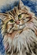 ACEO cat watercolor pencil by the author original 3,5"х2,5" 9x6cm not print