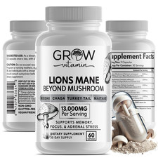 Organic Lion's Mane Mushroom Supplement 13000 mg - MEMORY, FOCUS, STRESS AID