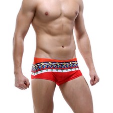 Men's Swimming Swimwear Birds Print Boxers Trunks Lightweight Swimsuit