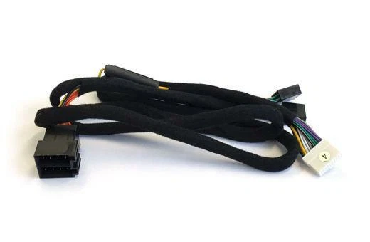 Axton A480DSP-ISO4 Adapter kompatibel mit Fiat, Ford, Hyundai, Kia, Lancia - Bild 1 von 1
