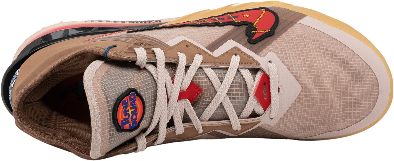 lebron james xbox shoes