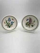 Portmeirion Botanic Garden Iris Lilac Individual Pasta Bowl 8 in