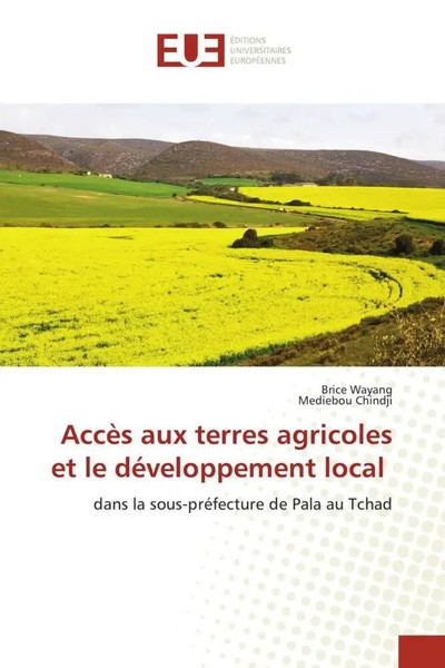 Brice Wayang (U. A.) | AccèS Aux Terres Agricoles Et Le DéVeloppement Local-image