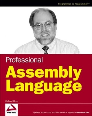 Professional Assembly Language (Paperback or Softback)