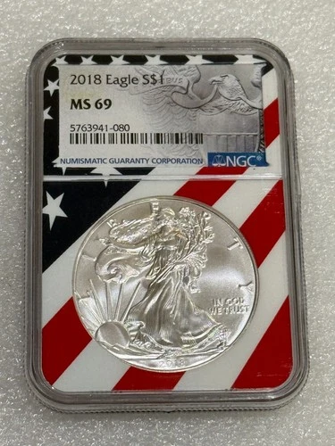 2018 Silver Eagle NGC MS 69 ~  Rare Flag Core ~ PRISTINE ~ NO SPOTS  (080)