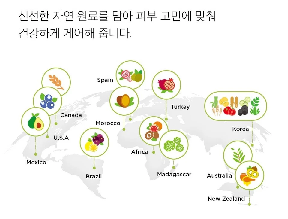 The Saem Pomegranate Sheet Mask 10pcs – Moisturizing Vegan K-Beauty Skincare - Image 4 of 4