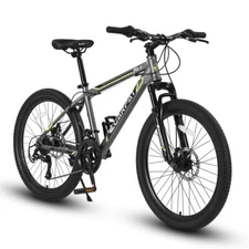 24'' Boy/Girl Mountain Bike Steel Frame 21-Speed Dual Disc Brakes Front Susp MTB