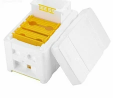 Beehive Box Queen Bee Rearing Mating Hive Tools Beekeeping Tool Equipment Kit 