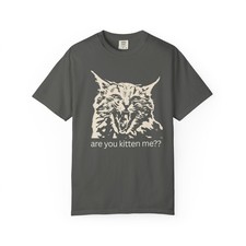 Camisa Are You Kitten Meme Angry Cat Camiseta De Colección 90 Grumpy Cat Camiseta Gráfica