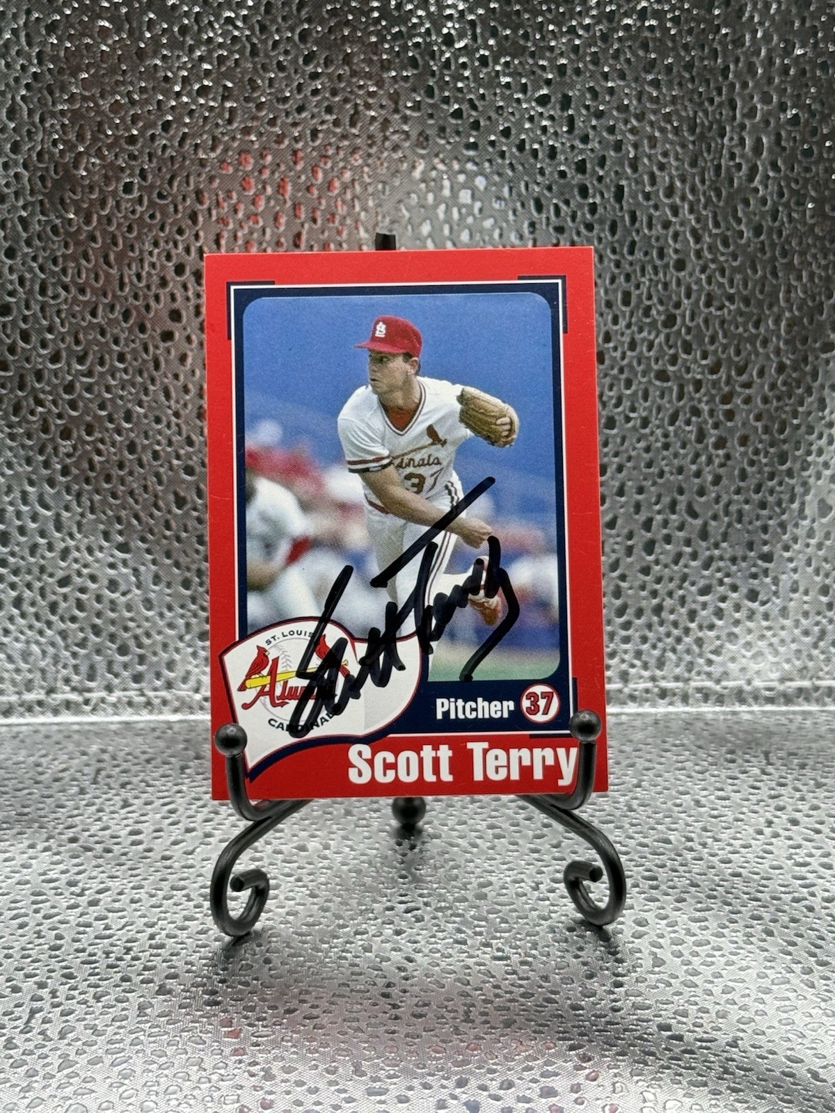 Cardinals Alumni Scott Terry #37 - Autograph