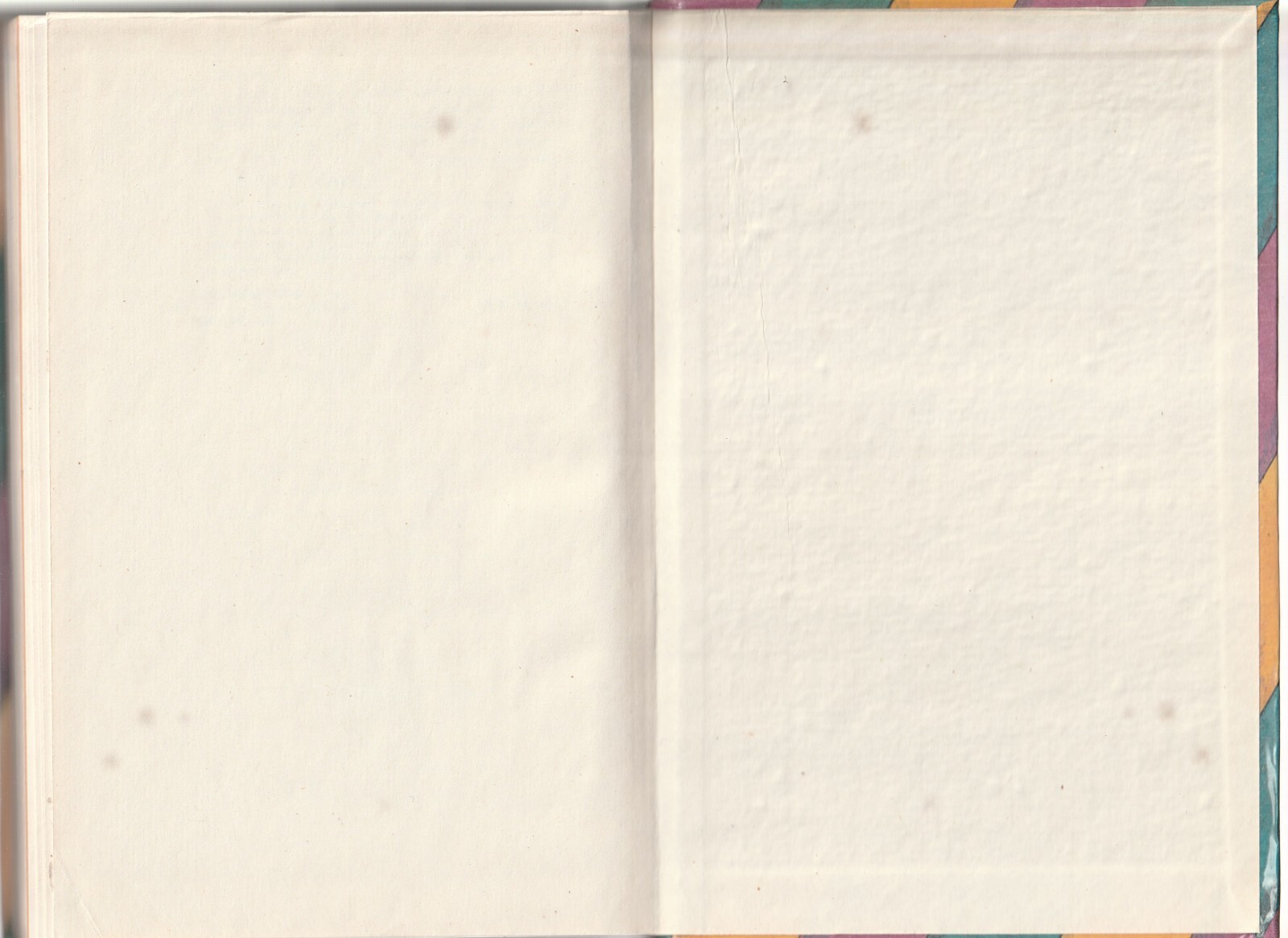 Bild 8 von 8