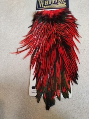 Whiting American Rooster Saddle Black Laced White dyed RED Hackle Feathers