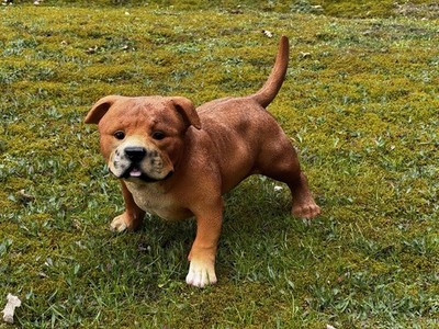 Deko Figur American Bully Gartenfigur lebensecht Tierfigur #3814