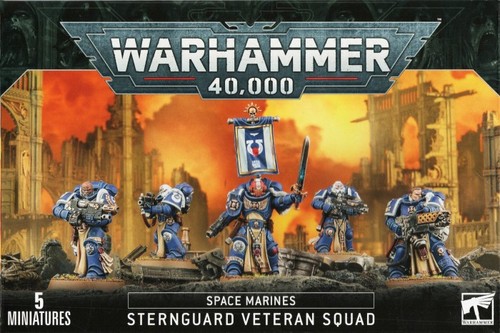 2024 Sternguard Veterans Singles - VETERAN B - Space Marines - Warhammer 40K