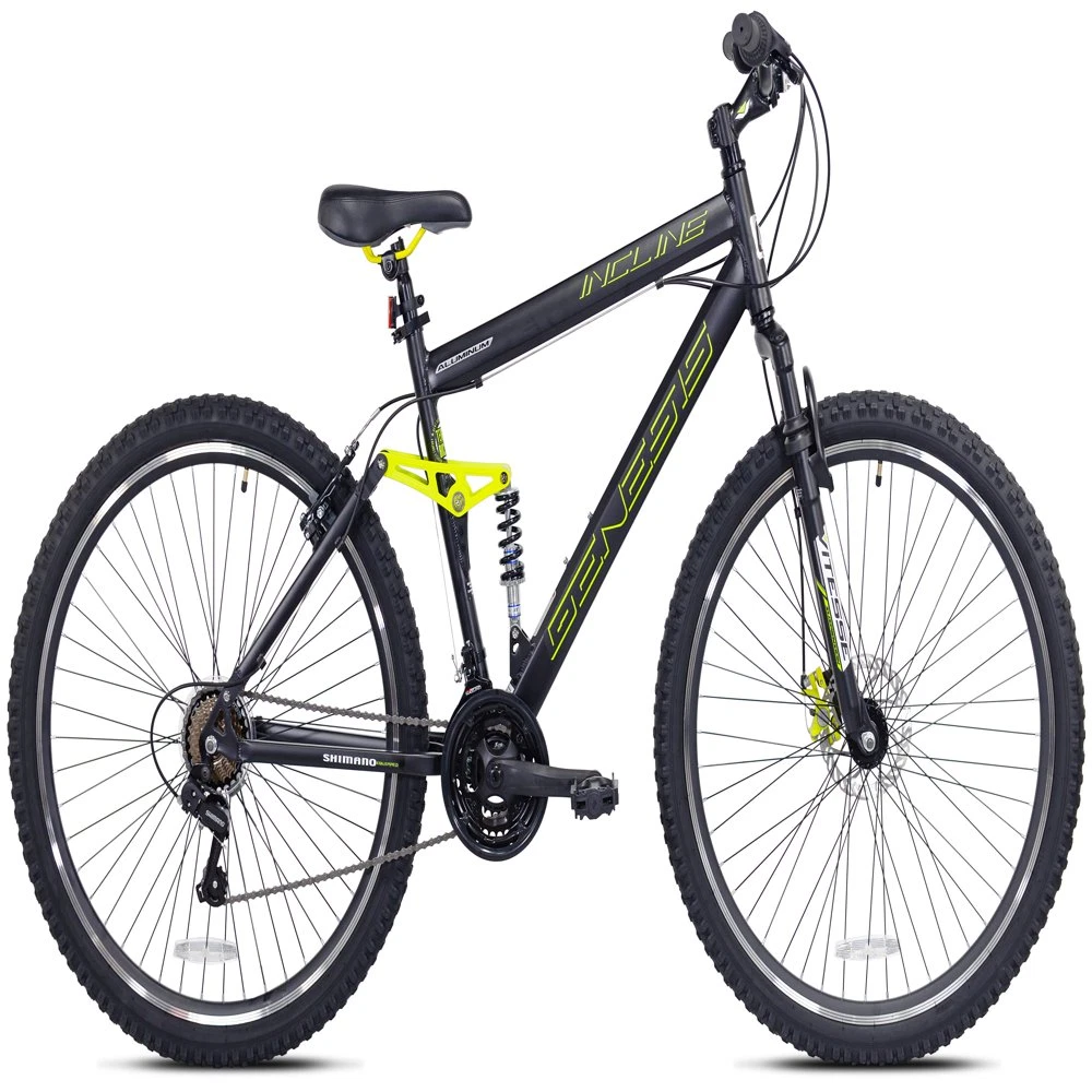 Genesis 29