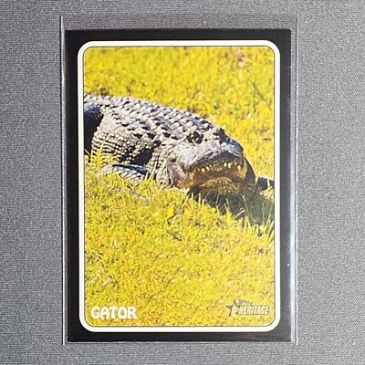 2024 Topps Heritage GATOR (RON GUIDRY) 1975 Zoo's Who Insert #75Z-18 Yankees