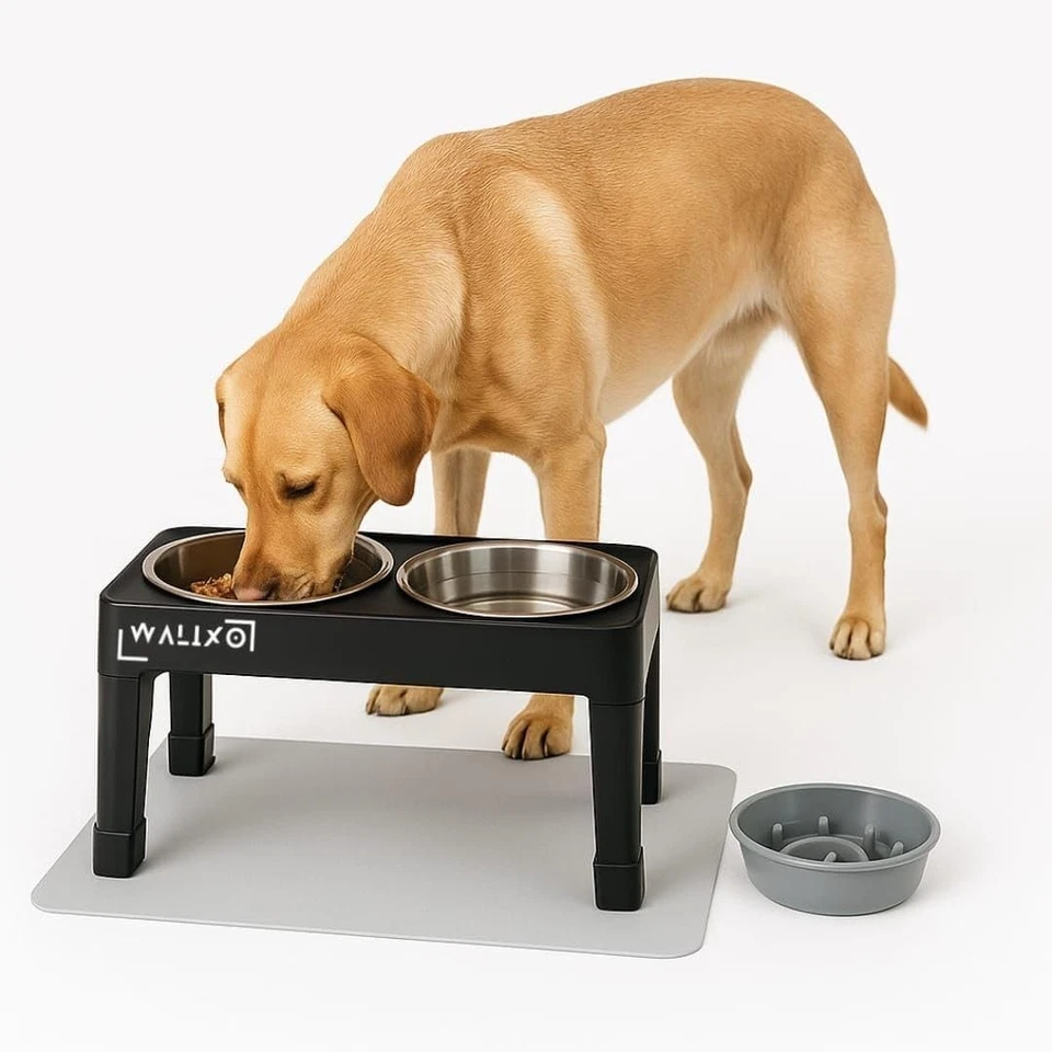 Ciotola Rialzata per Cani Regolabile in 5 Altezze Ciotole in Acciaio Inox 8-28cm - Immagine 2 di 4