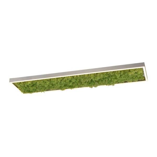 Led Deckenleuchte Modern Echtes Moos 3000 K 100 Cm Lang Deckenlampe Innen-image