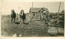 C-1910 Flood Aftermath Horse Team Clean up RPPC Photo Postcard 22-3411