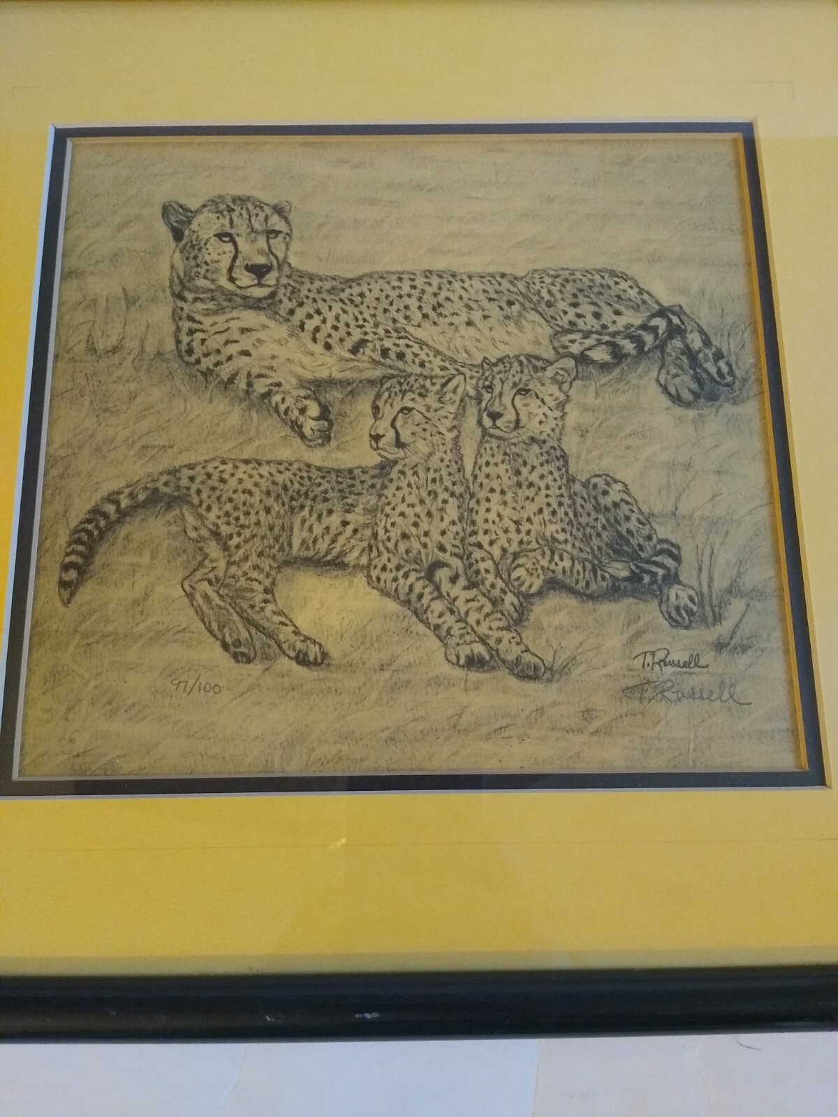 Picture 2 of 7
