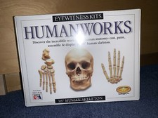 Eyewitness Kits Humanworks 18" Human Skeleton Kids Educational Fun NEW Sealed