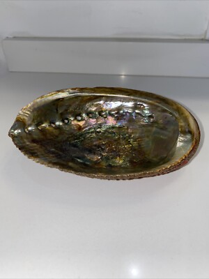 LARGE VINTAGE ABALONE SEA Shell GOLD COLORS, Smudging Bowl, Incense ...