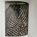 Bild 6 von 18