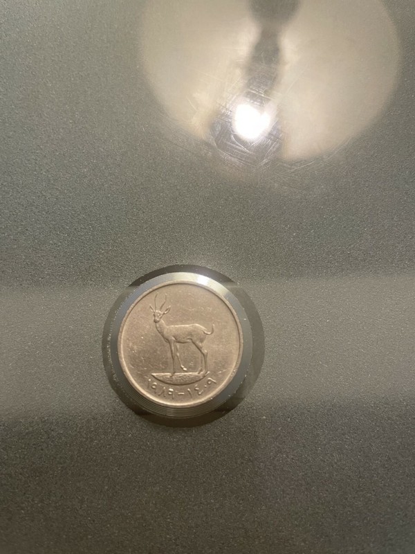25 Fils 1989 EMIRATES Árabe 