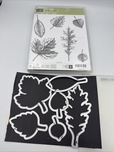 Stampin Up! VINTAGE LEAVES stamps & matching dies Fall Spring