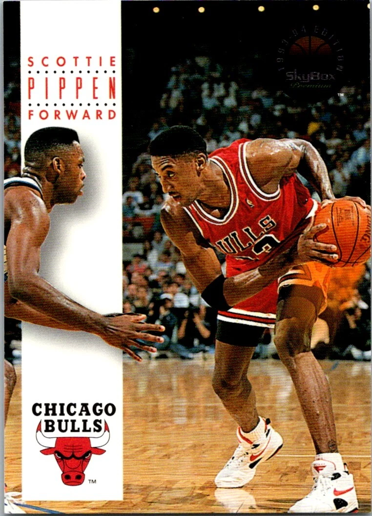 Tenis pippen 94 deals