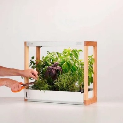 Rise Gardens Personal Hydroponic Indoor Garden Kit with LED Grow Light