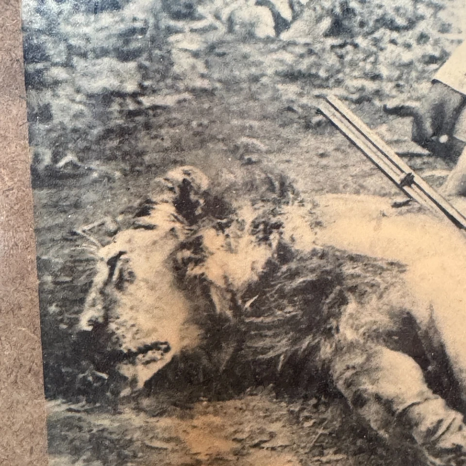 Vintage British Period Hunting Hunter Man Black & White Photo With Wooden Framed - Image 3 of 4