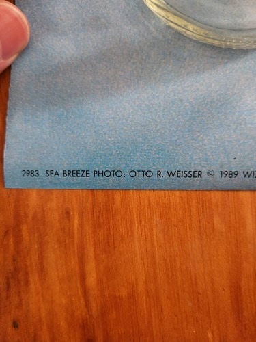 Vintage 1989 Otto Weisser Sea Breeze Brunette Model Poster 26.5" x 37.5" - Picture 2 of 9
