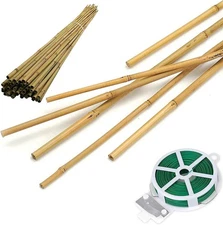 50 Pack 2ft Bamboo Plant Stakes For Wood Garden Stickswooden Plant Supportsbam