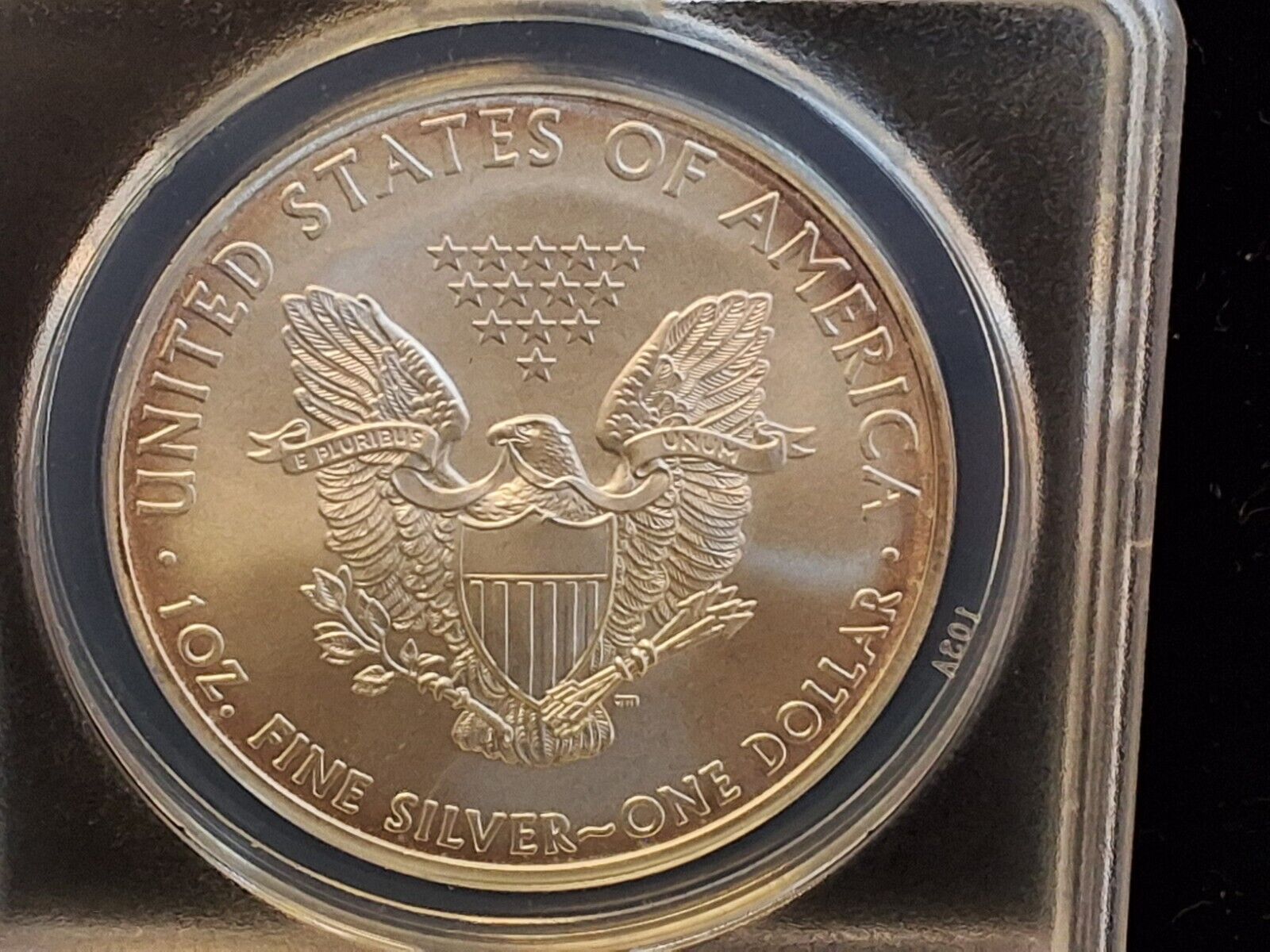 Picture 5 of 6