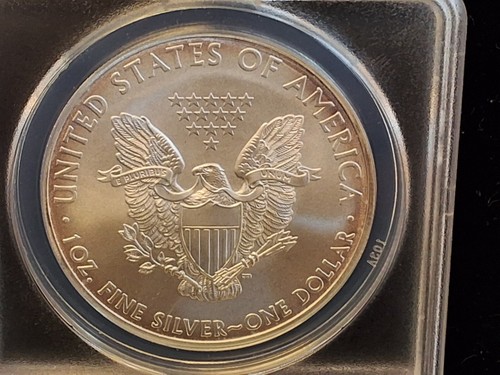 2008 W, P AMERICAN SILVER EAGLE SET ANACS PR70 DCAM & MS70 FIRST RELEASE - Picture 5 of 6